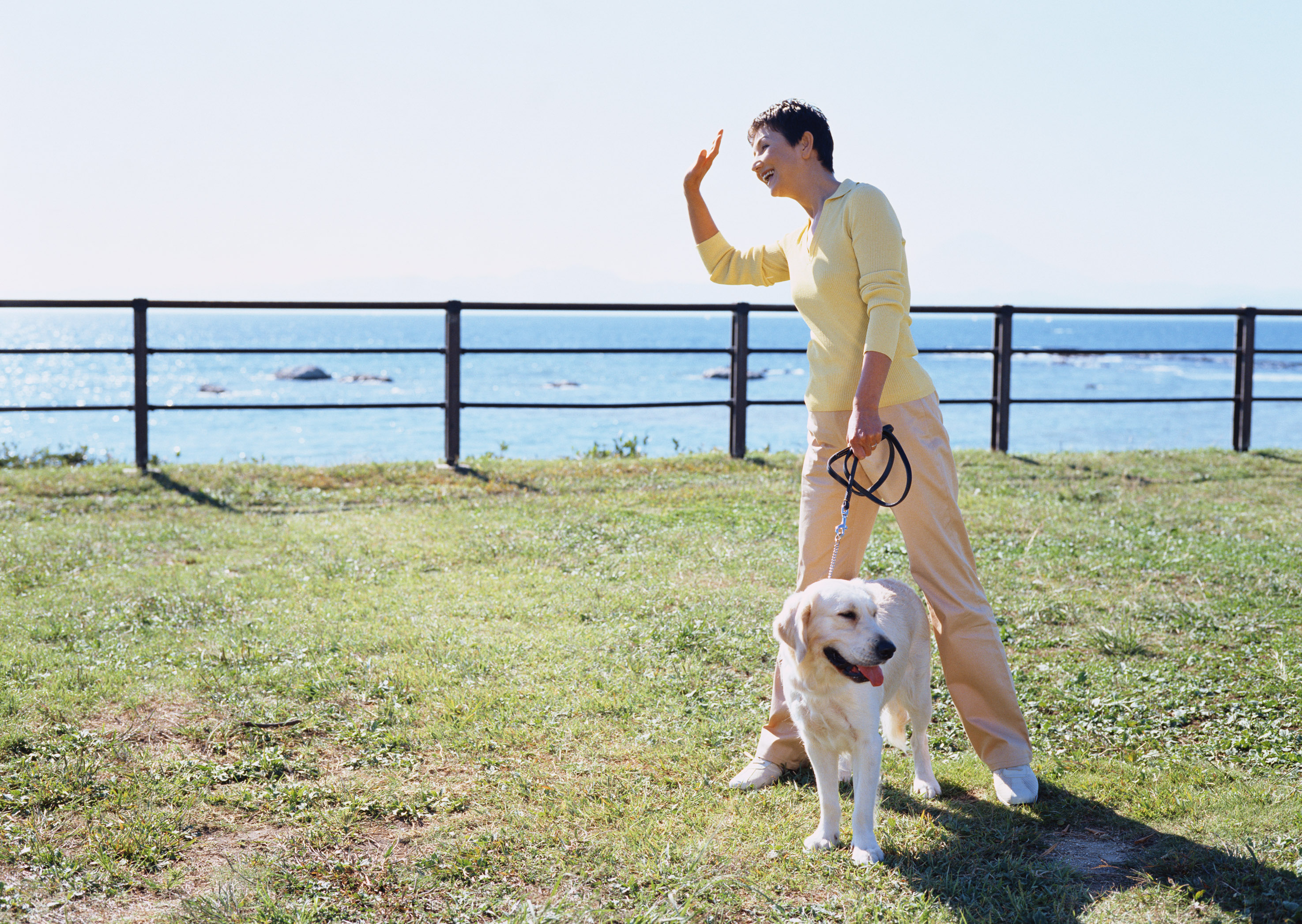 愛犬家でワンちゃんの健康談義に花を咲かせましょう